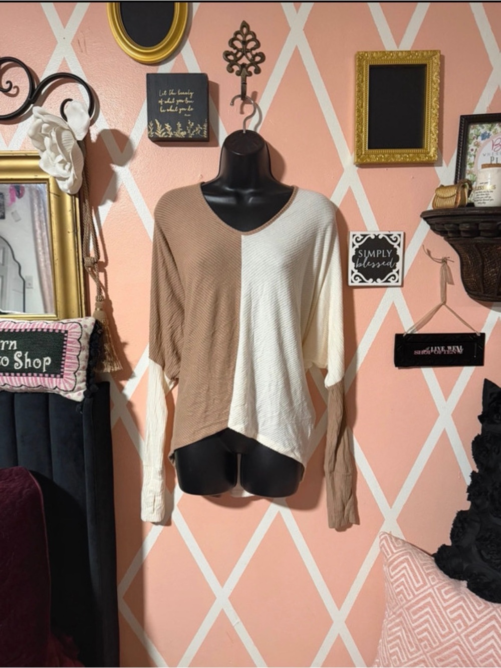 Elan Beige and Cream Colorblock V-Neck Dolman Top